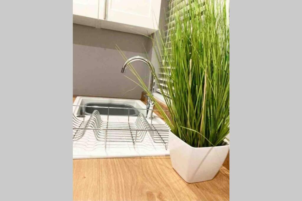 The Terrace Chester, Modern 3 Bed House エクステリア 写真